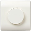 10-1-0-   (  ) 